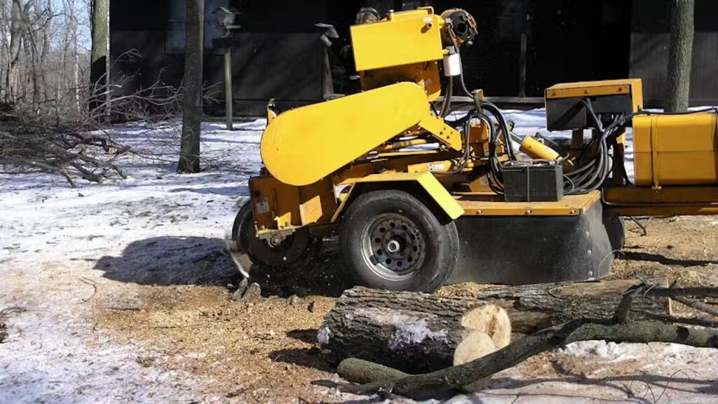 How to Use a Tree Root Grinder Safely