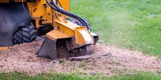 Maintenance and Care for Your Stump Grinder