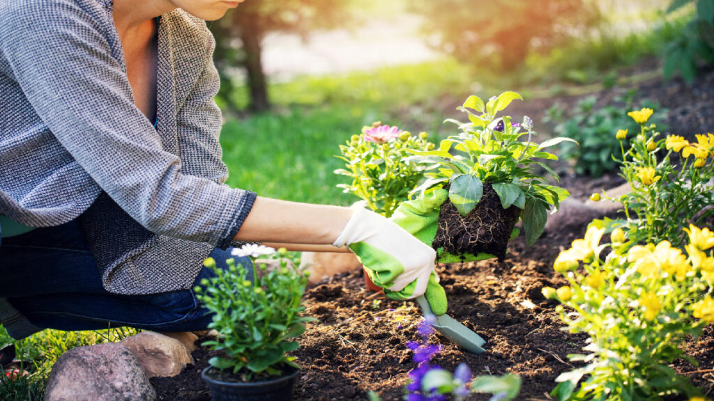 Preparing Your Garden for Winter