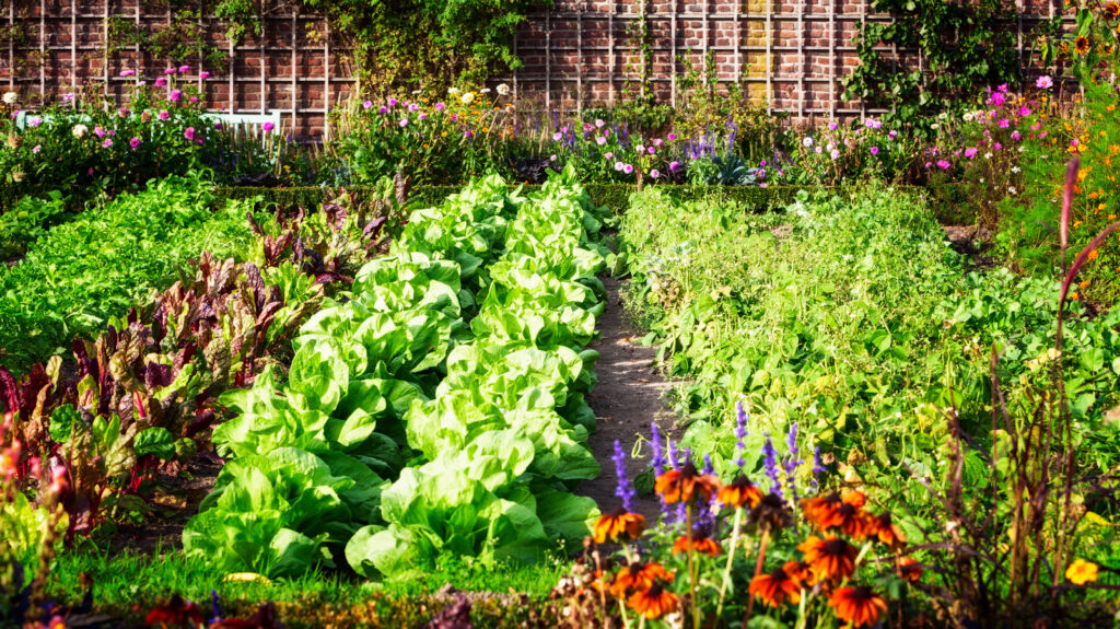 Tips for Maintaining a Thriving Garden All Winter