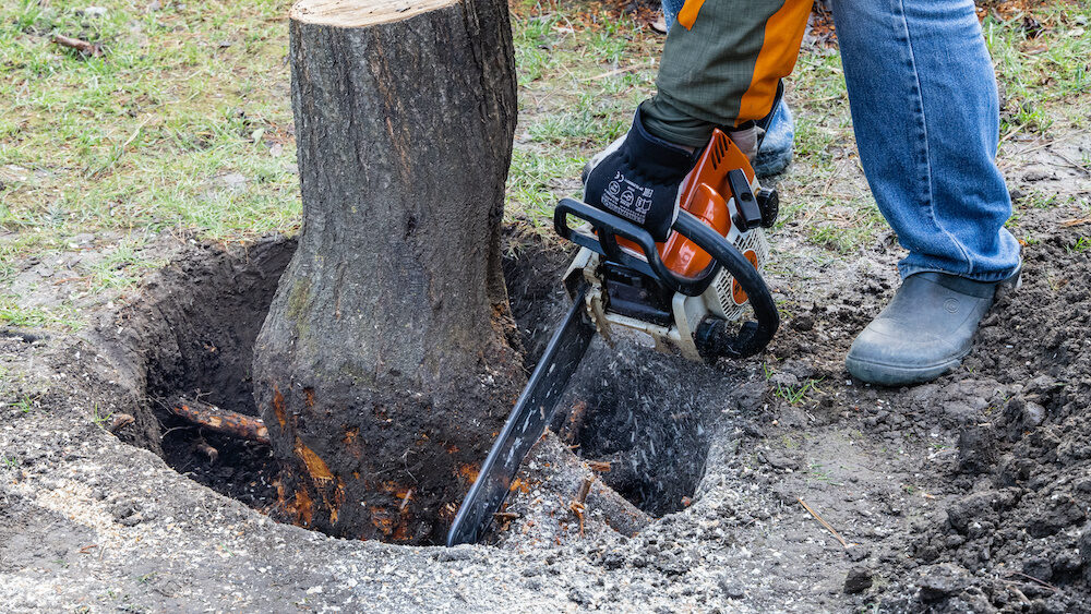 What Is Stump Out?