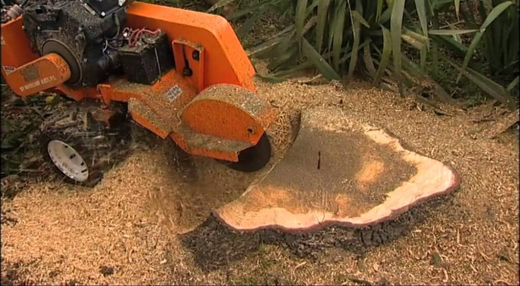 What is Stump Grinding?