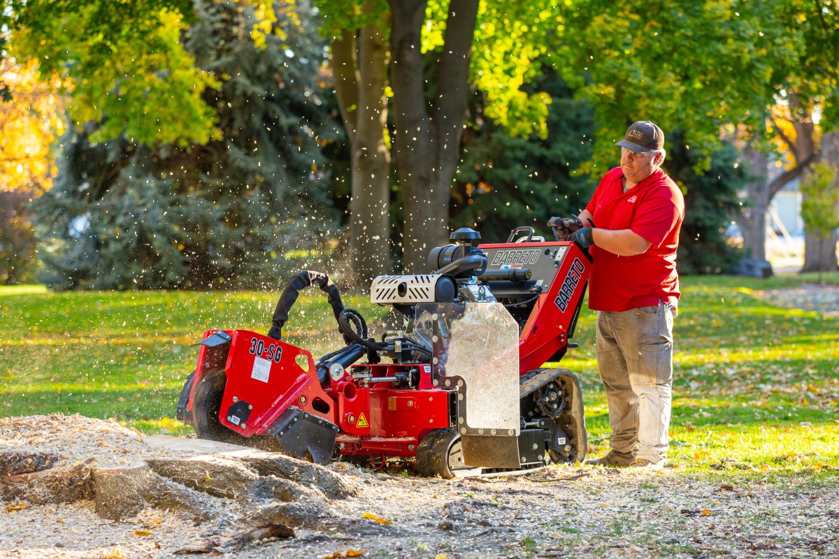 stump grinder rental