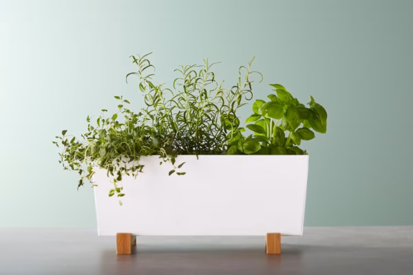 Decorative plant pots for indoor plants