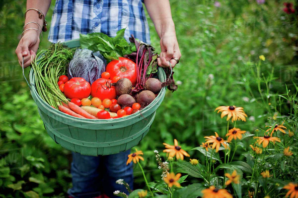 How can I make vegetable gardening easier for beginners?