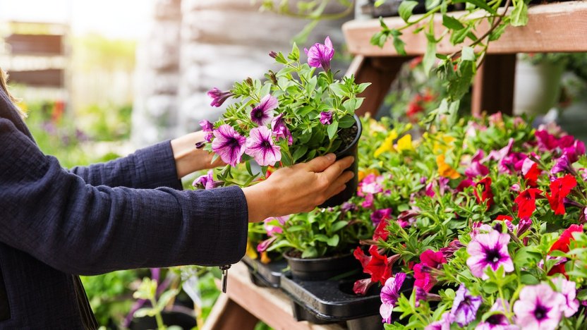 How to Choose the Right River Plants for Your Garden