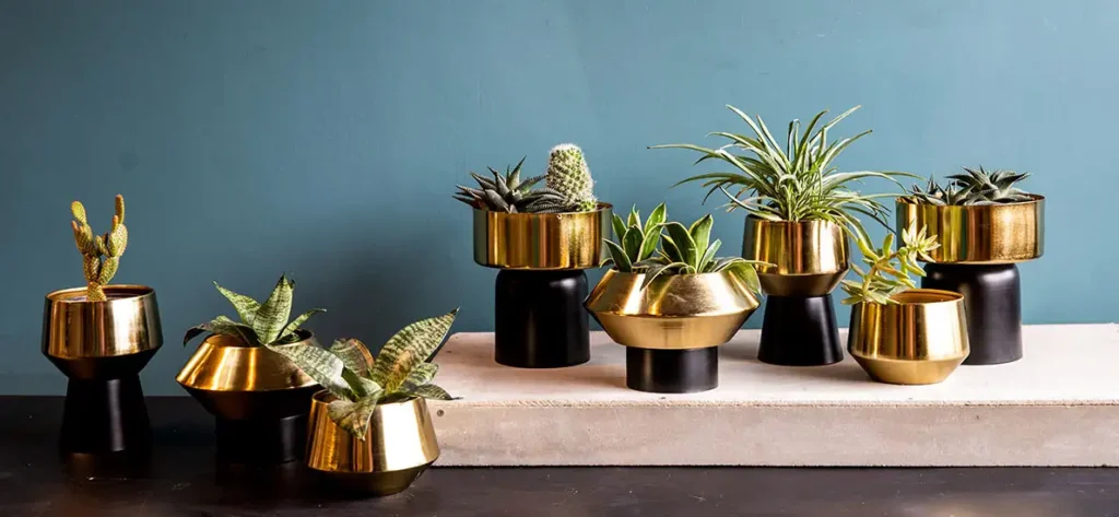 Where to Buy Decorative Plant Pots