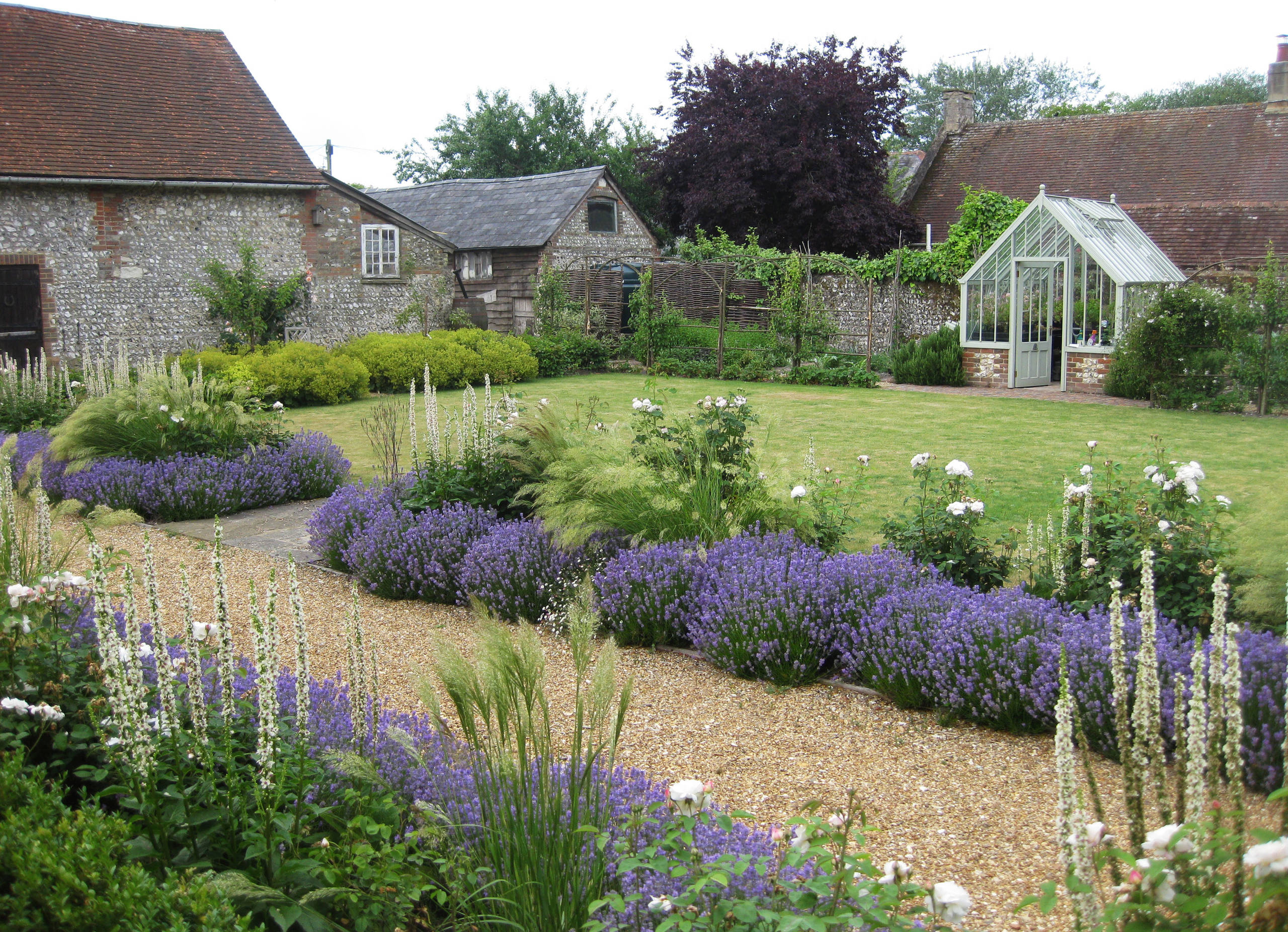 Can Lavender Be Used as Ground Cover?