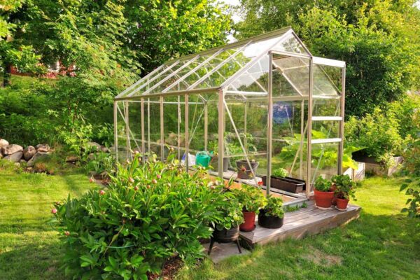 why is it important to keep the greenhouse clean