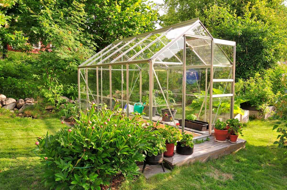 why is it important to keep the greenhouse clean