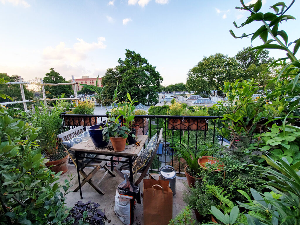 tint base to add to sweet basil to darken it