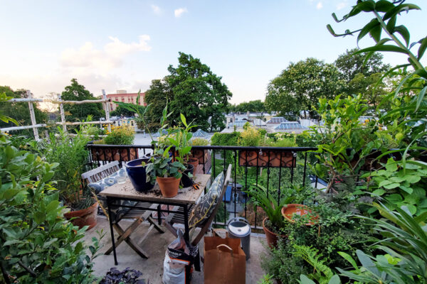 tint base to add to sweet basil to darken it