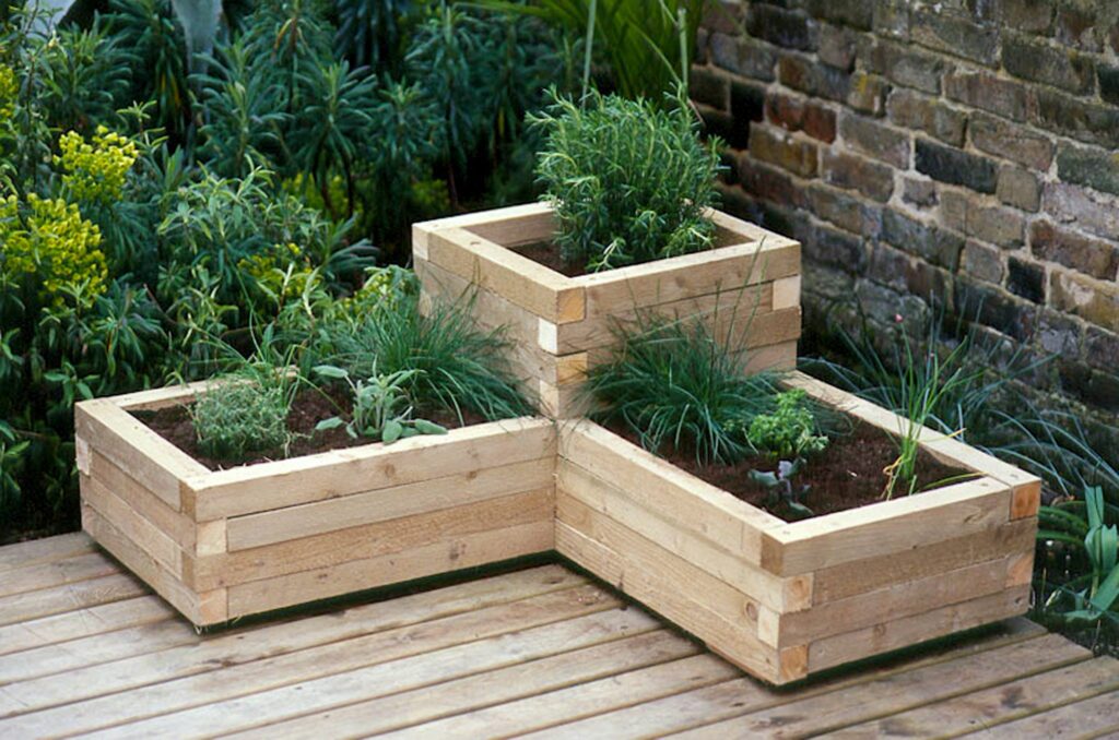 what plants to put in a wooden
